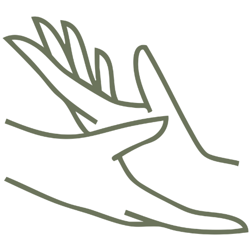 hand_icon_green Hand reflexology icon